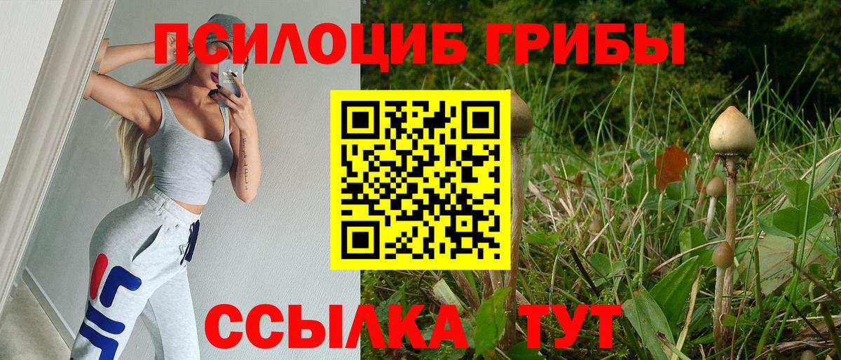Конопля Ессентуки