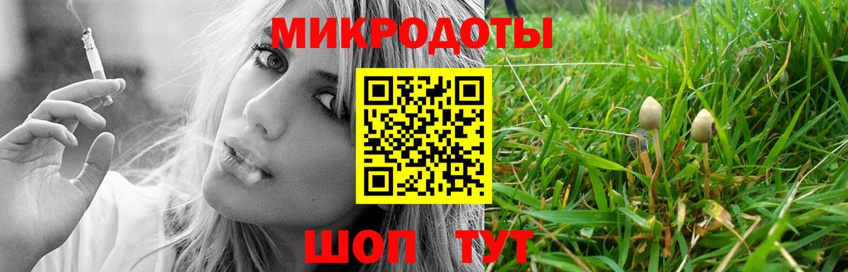 Галлюциногенные грибы GOLDEN TEACHER  Вход с VPN  Ессентуки 